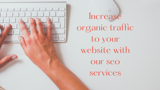 Organic Growth on a Budget: How SEO Drives Traffic to Your Ecommerce Store